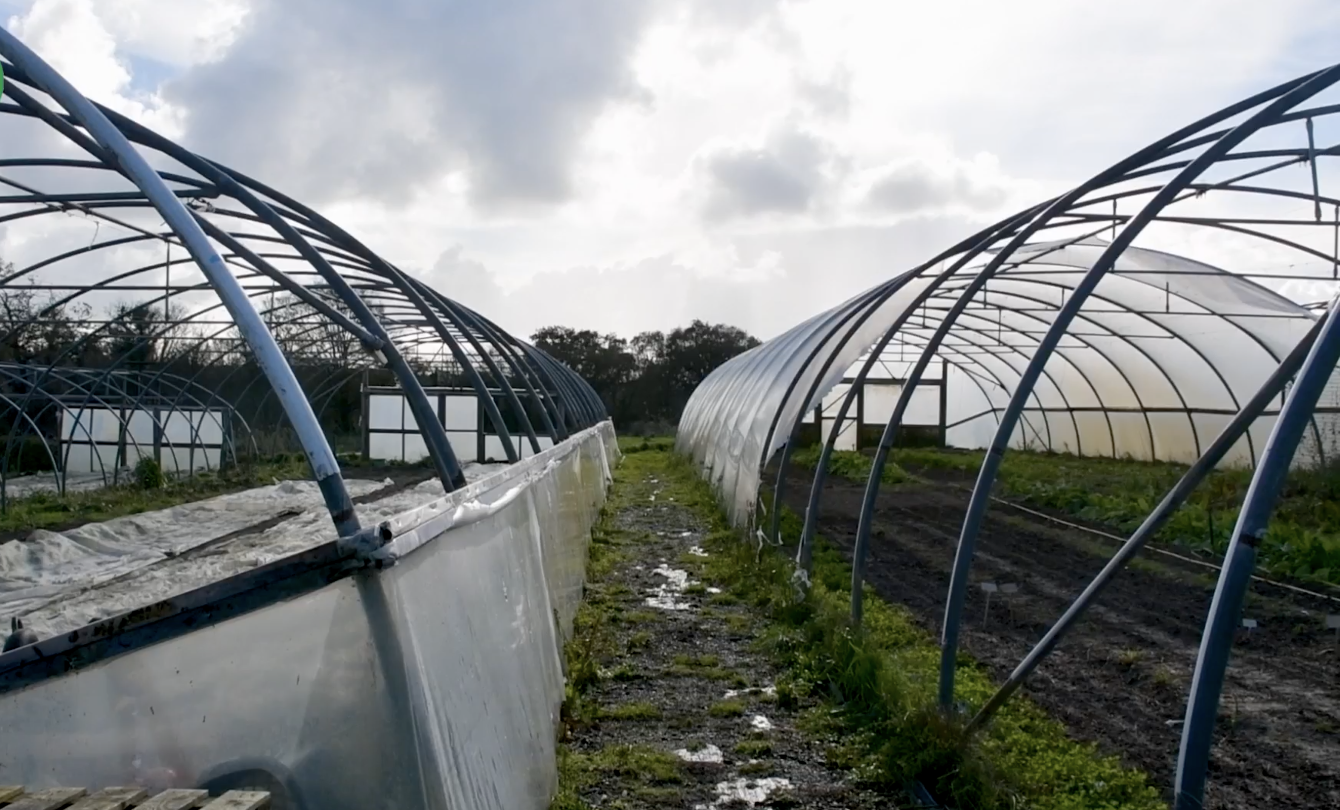 Screenshot 2023 11 07 At 12.13.18