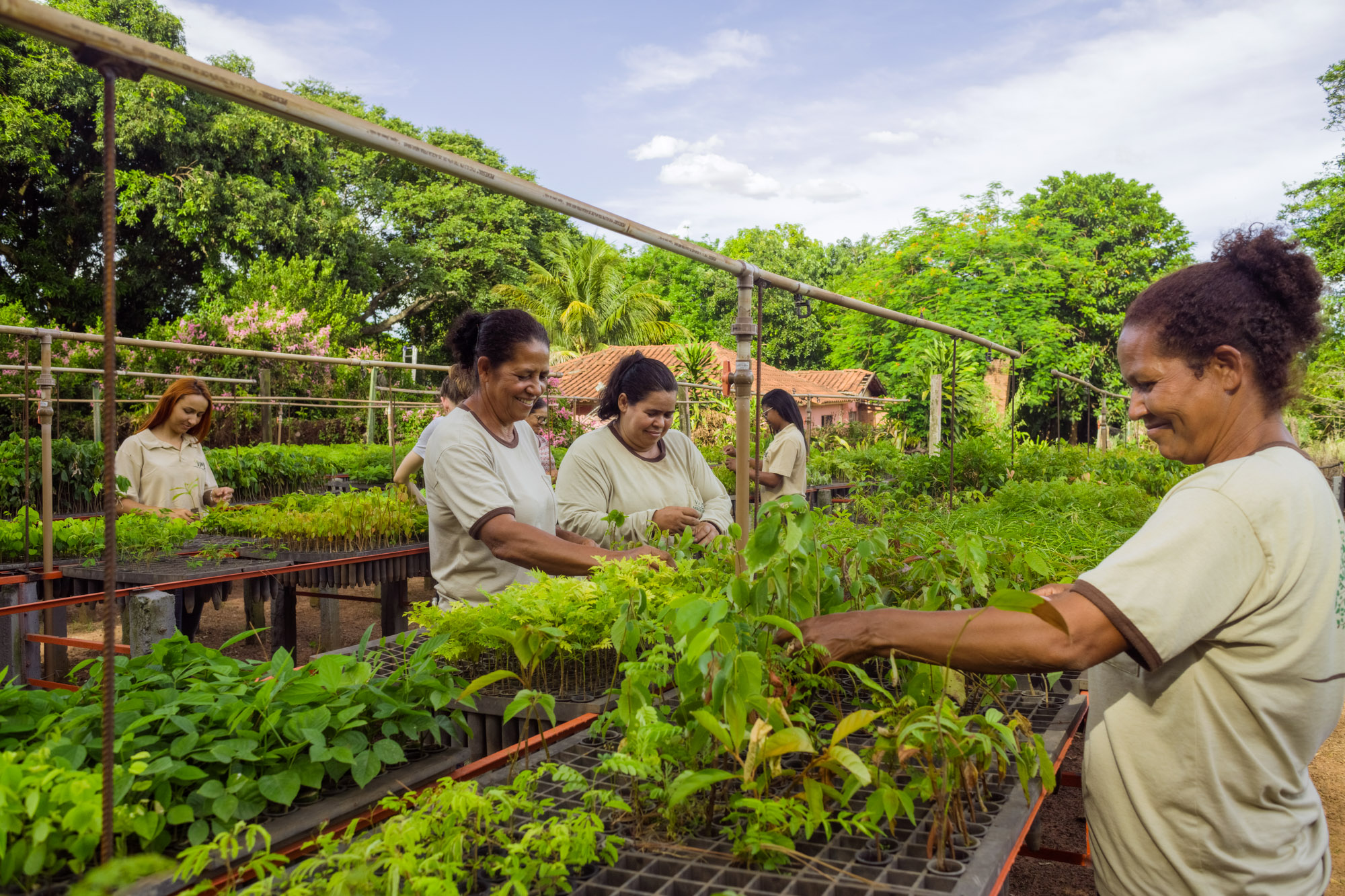 Rae04cullen 20Db 027