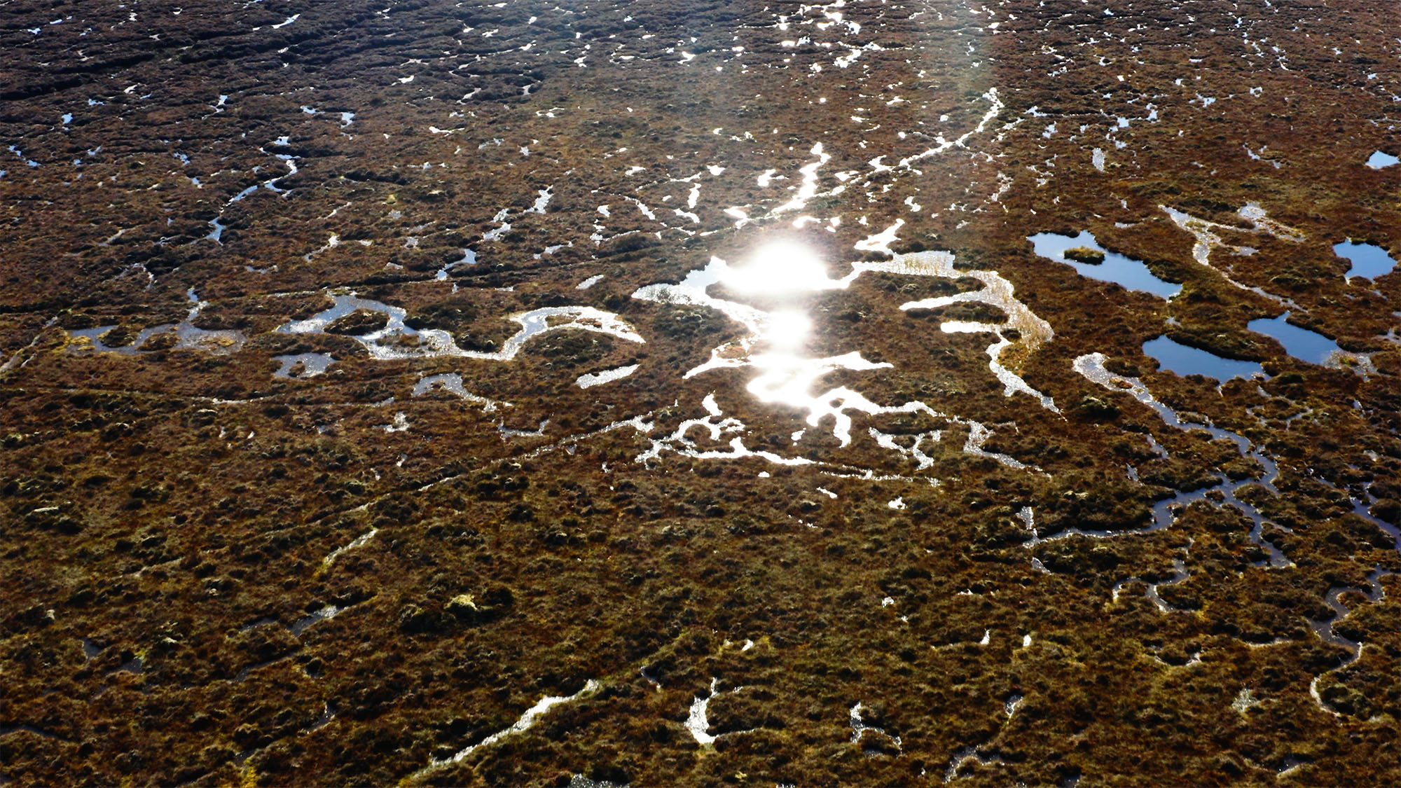 Reviving Dalnacardoch Stills James O'garra Oct 2024 15 Copy