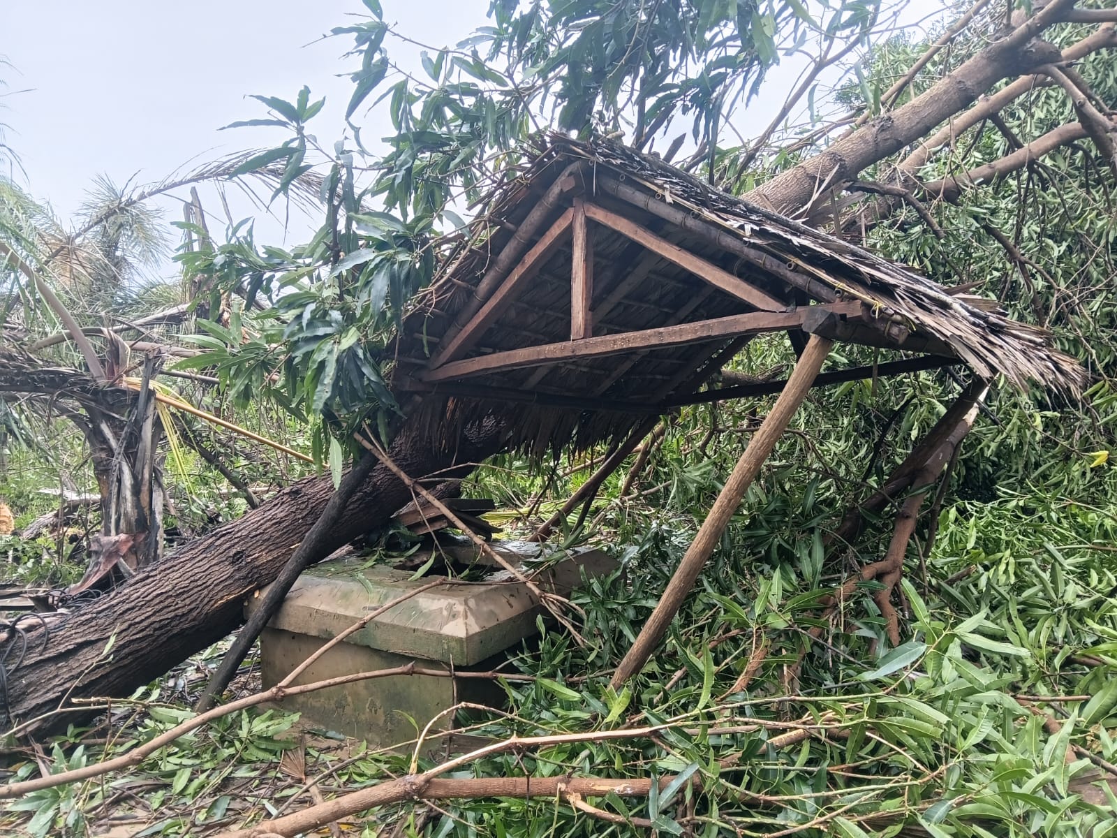 202602 BAL Cyclone Camp (7)