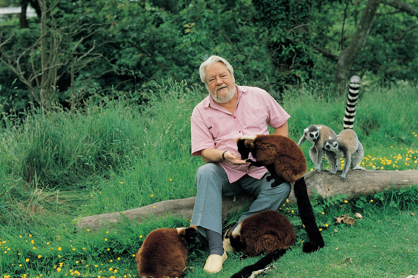 19 Gerald Durrell With Ring Tailed And Red Ruffed Lemurs Photo By Peter Trenchard Flipped
