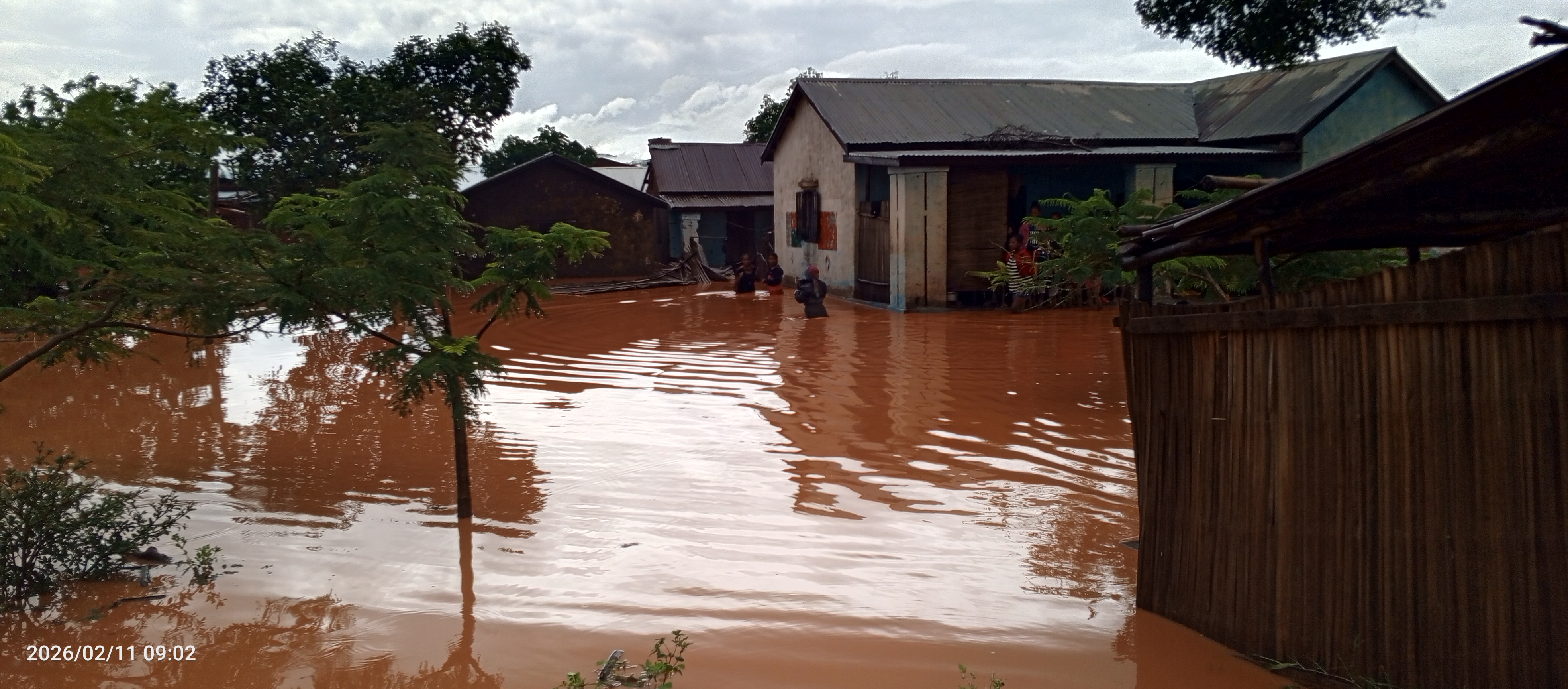 IMG 20260211 090239 519