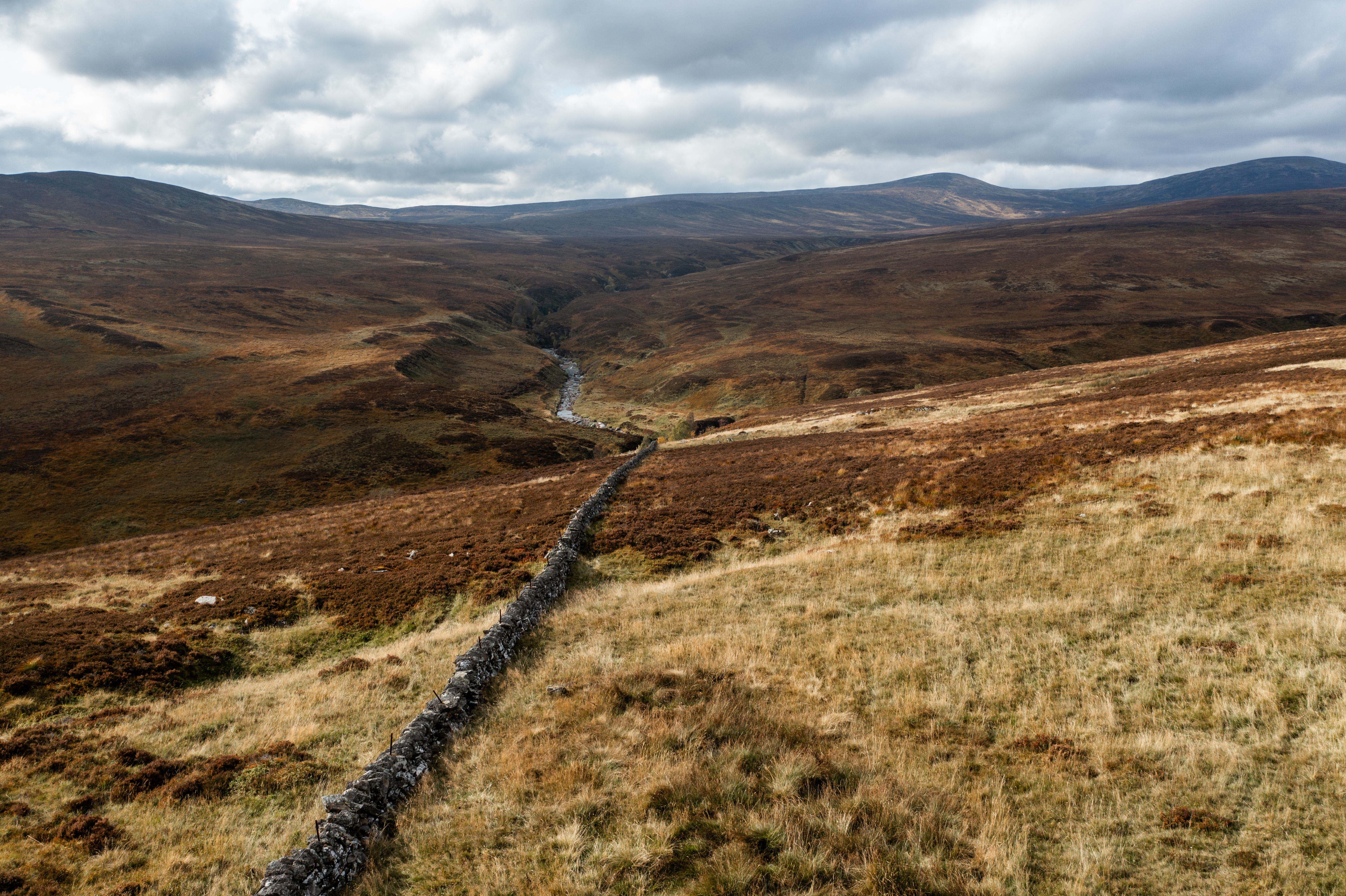 Dalnacardoch James O'garra Oct 2024 10