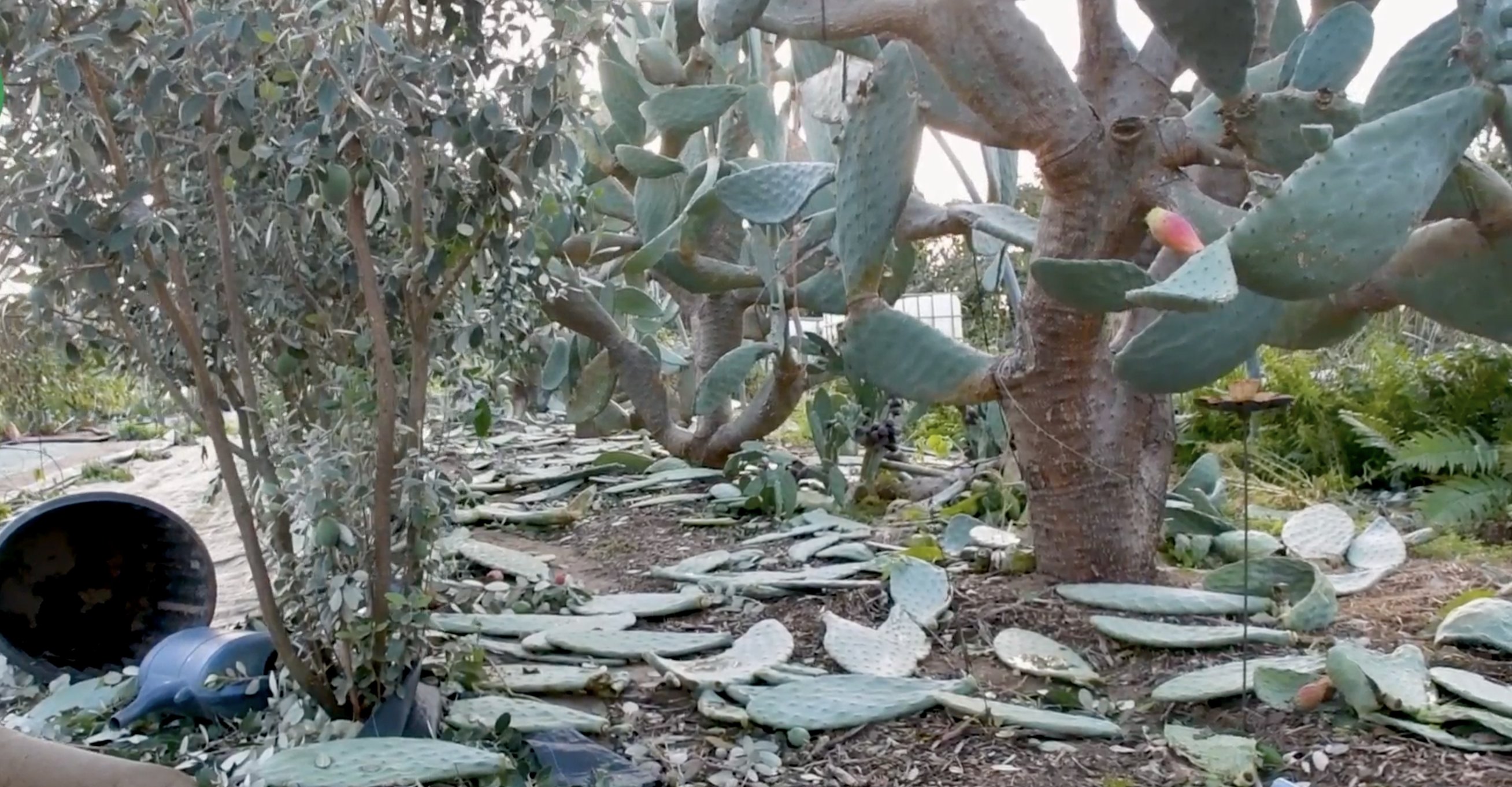 Screenshot 2023 11 07 At 12.13.46