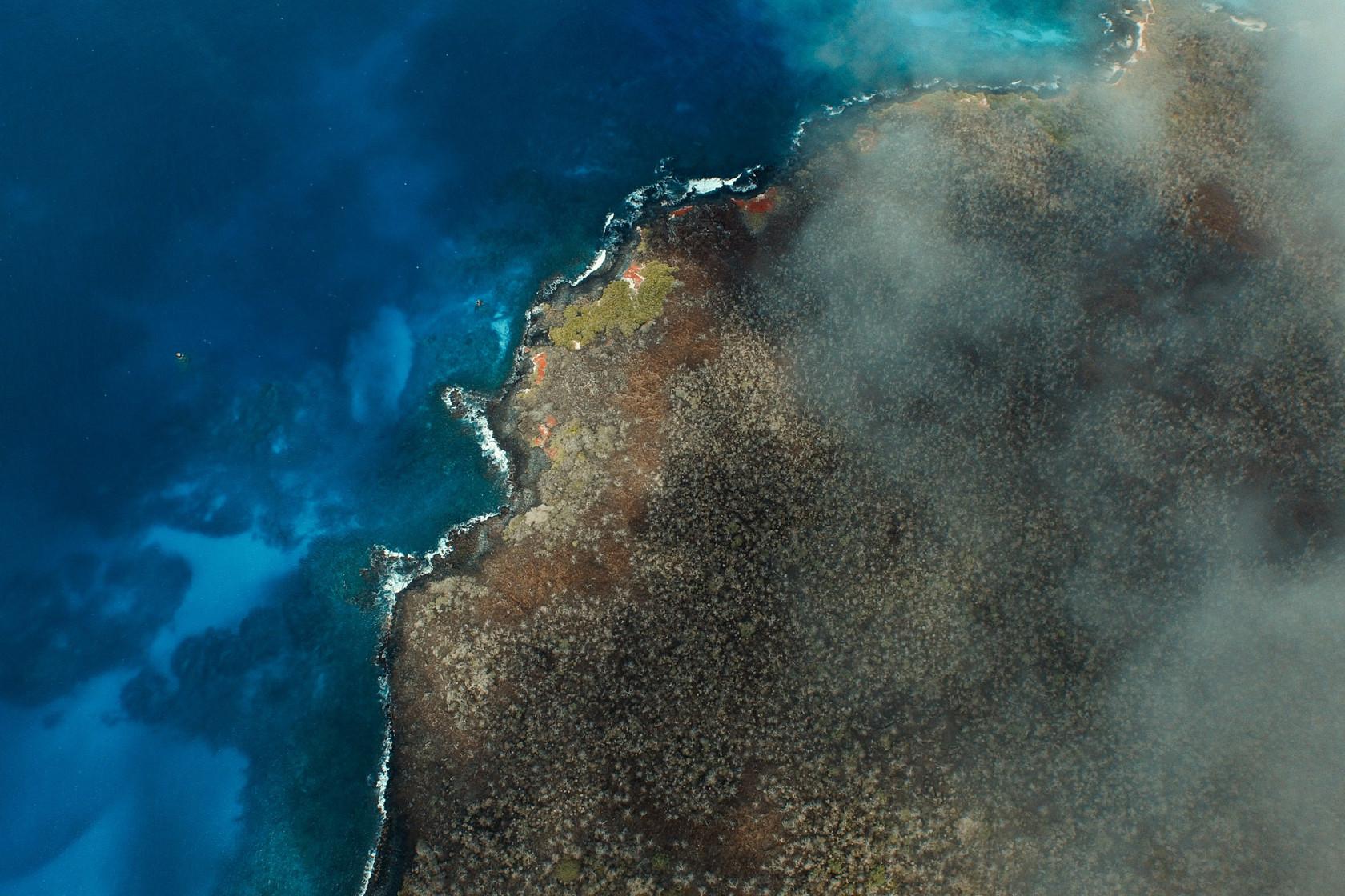 Island Conservation Floreana Galapagos 2017 (9)