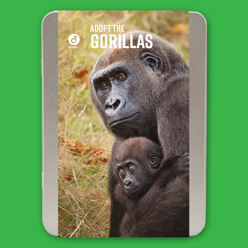 Adoption Tin Gorilla