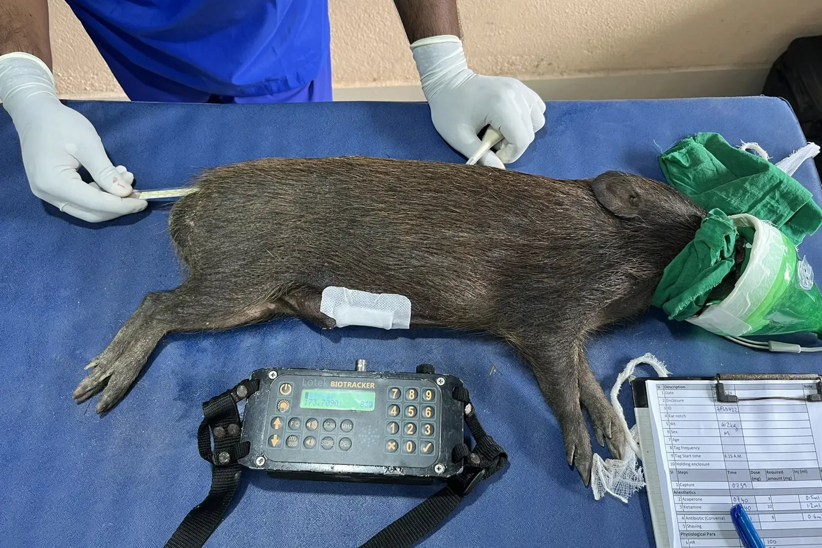 PHCP Visit Credit Allan Muir 9