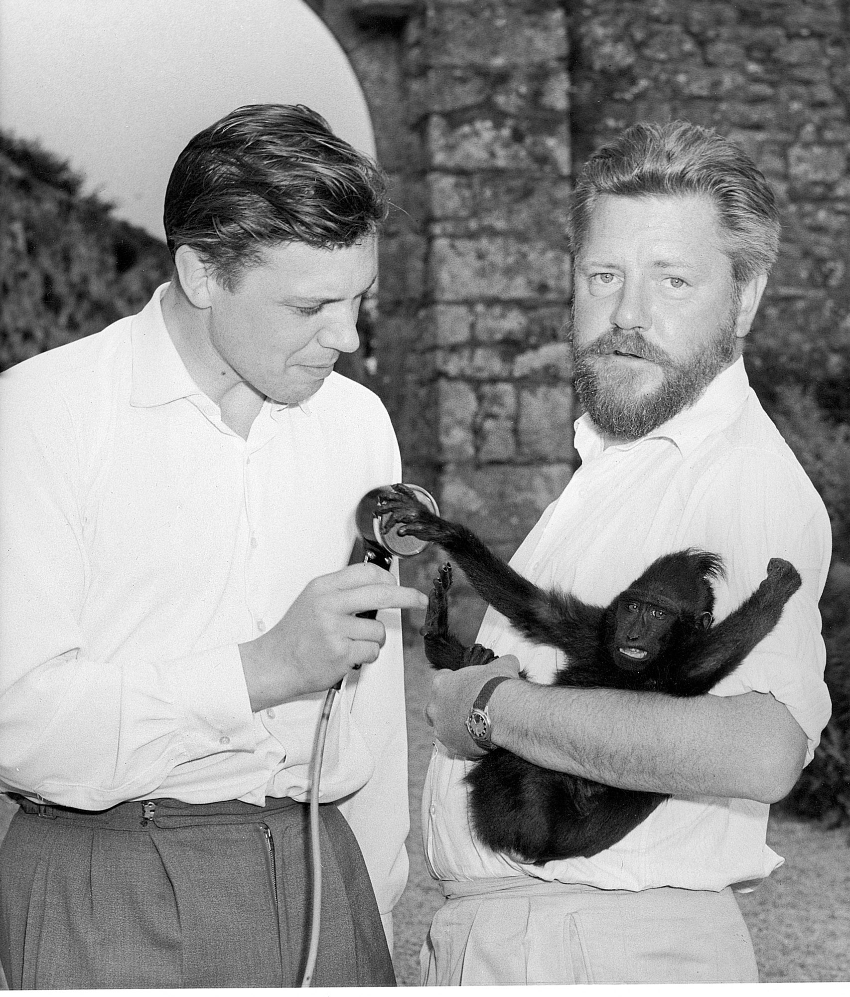 31. Sir David Attenborough And Gerald Durrell With A Young Sulawesi Crested Black Macaque. David Was Interviewing GD For Radio Programme