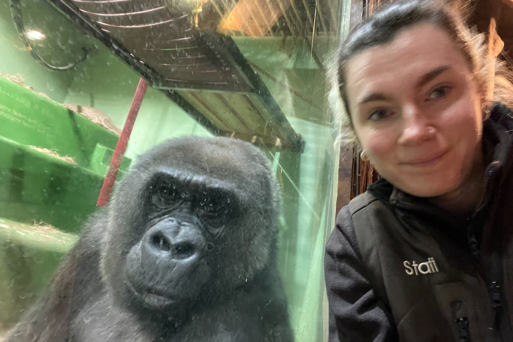 Kishka From Keeper Aoife 1