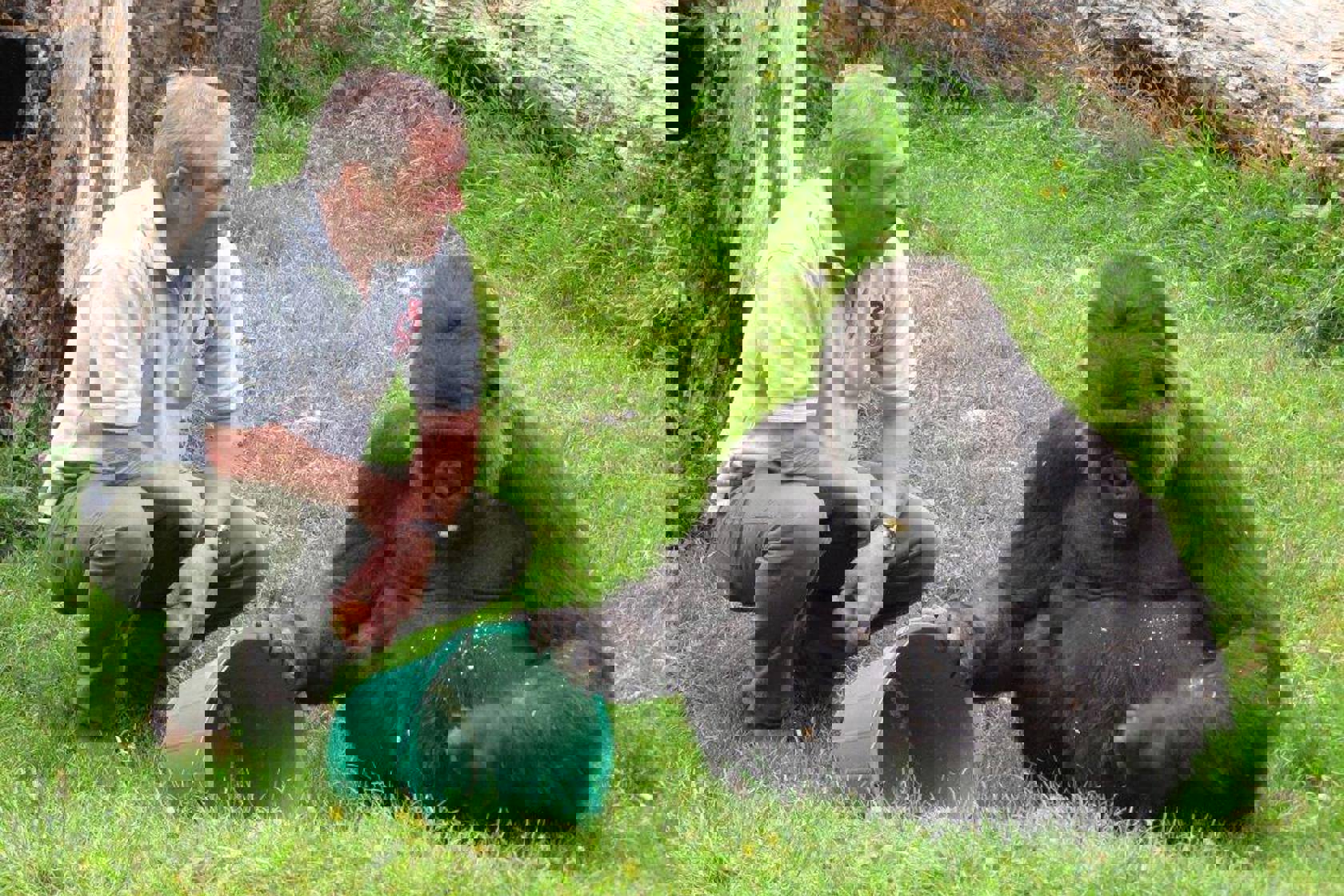 Richard Johnstone Scott And Sakina