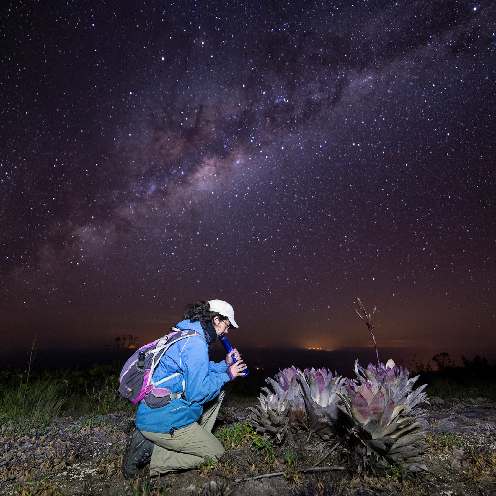 Bela During Night Surveys Under Milky Way Michel Becheleni