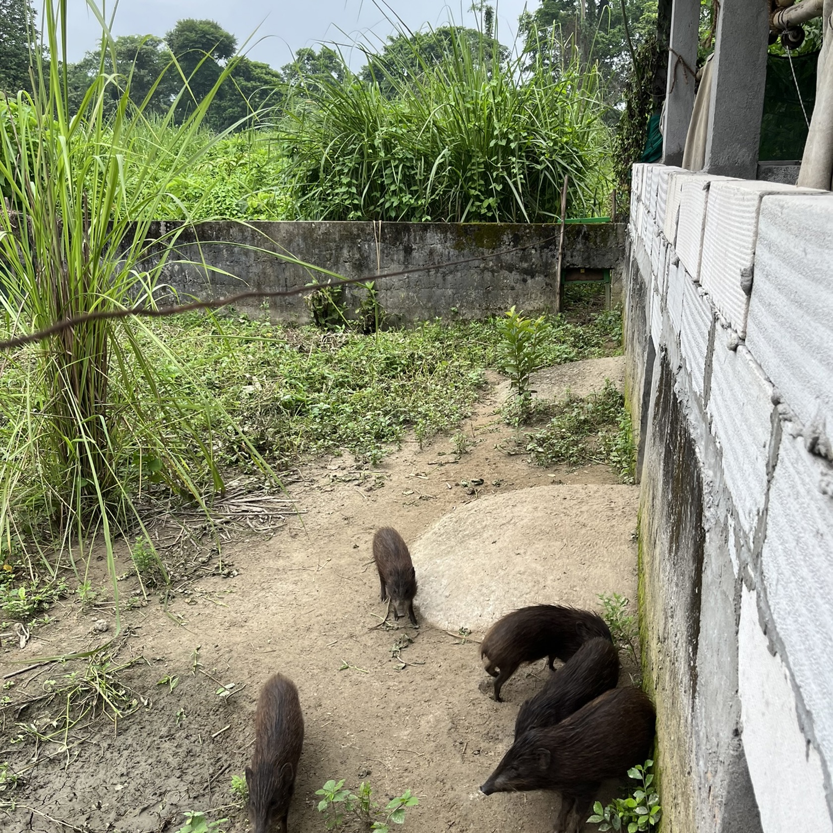 PHCP Visit Credit Allan Muir 5