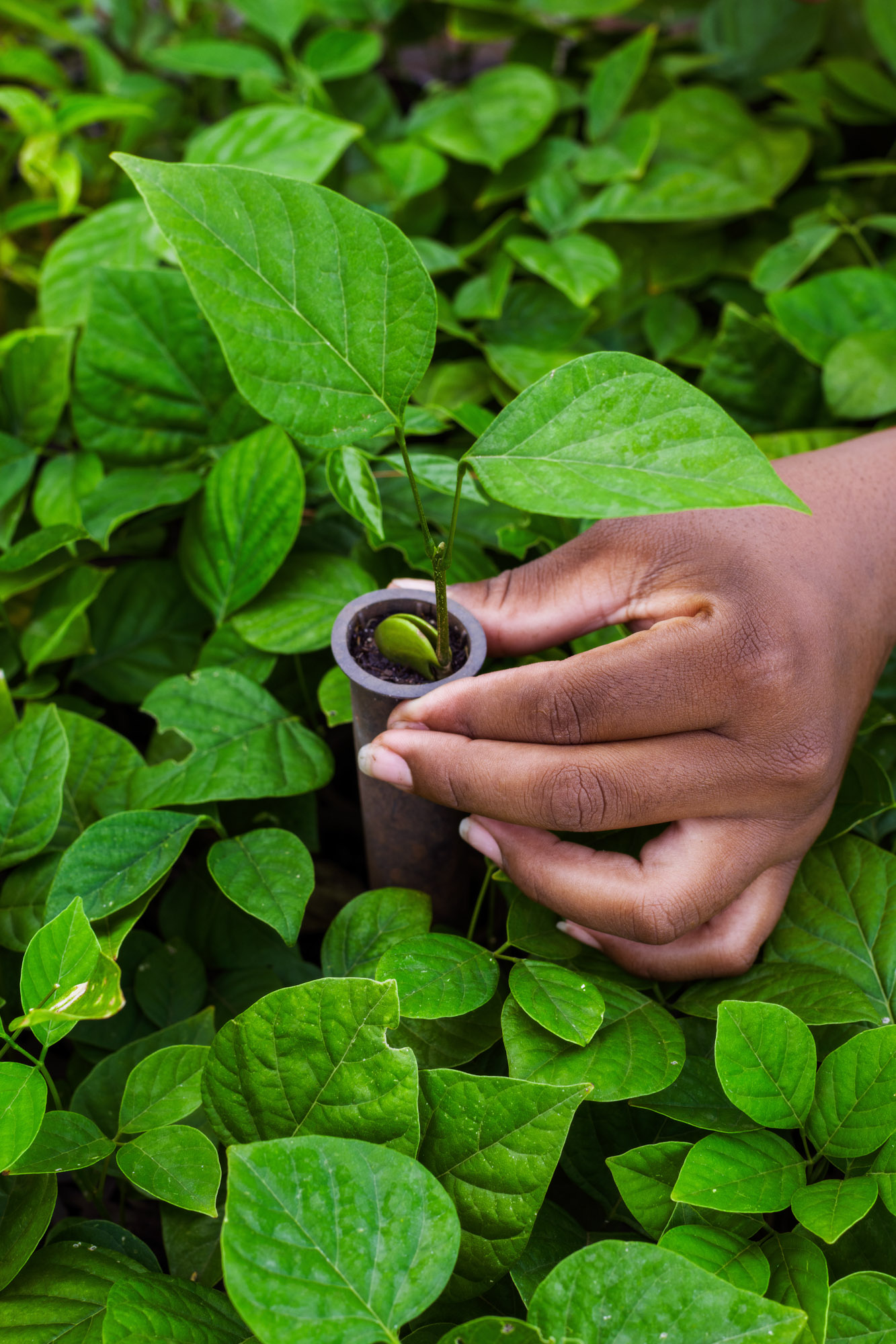 Rae04cullen 20Db 028