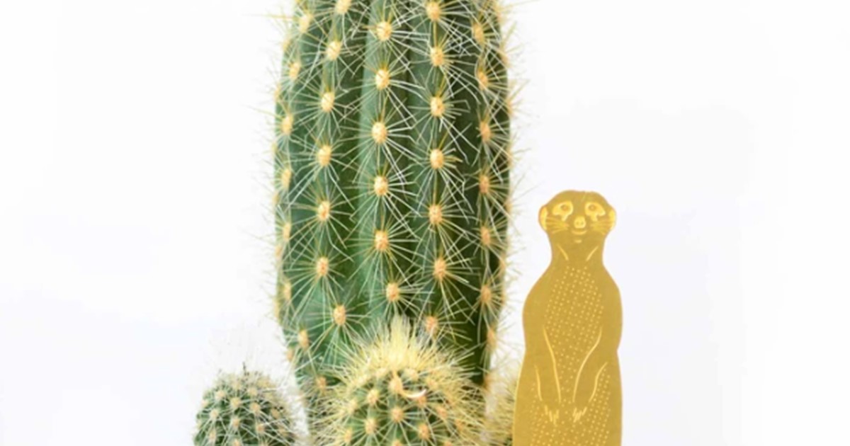 Brass Plant Accessory: Meerkat