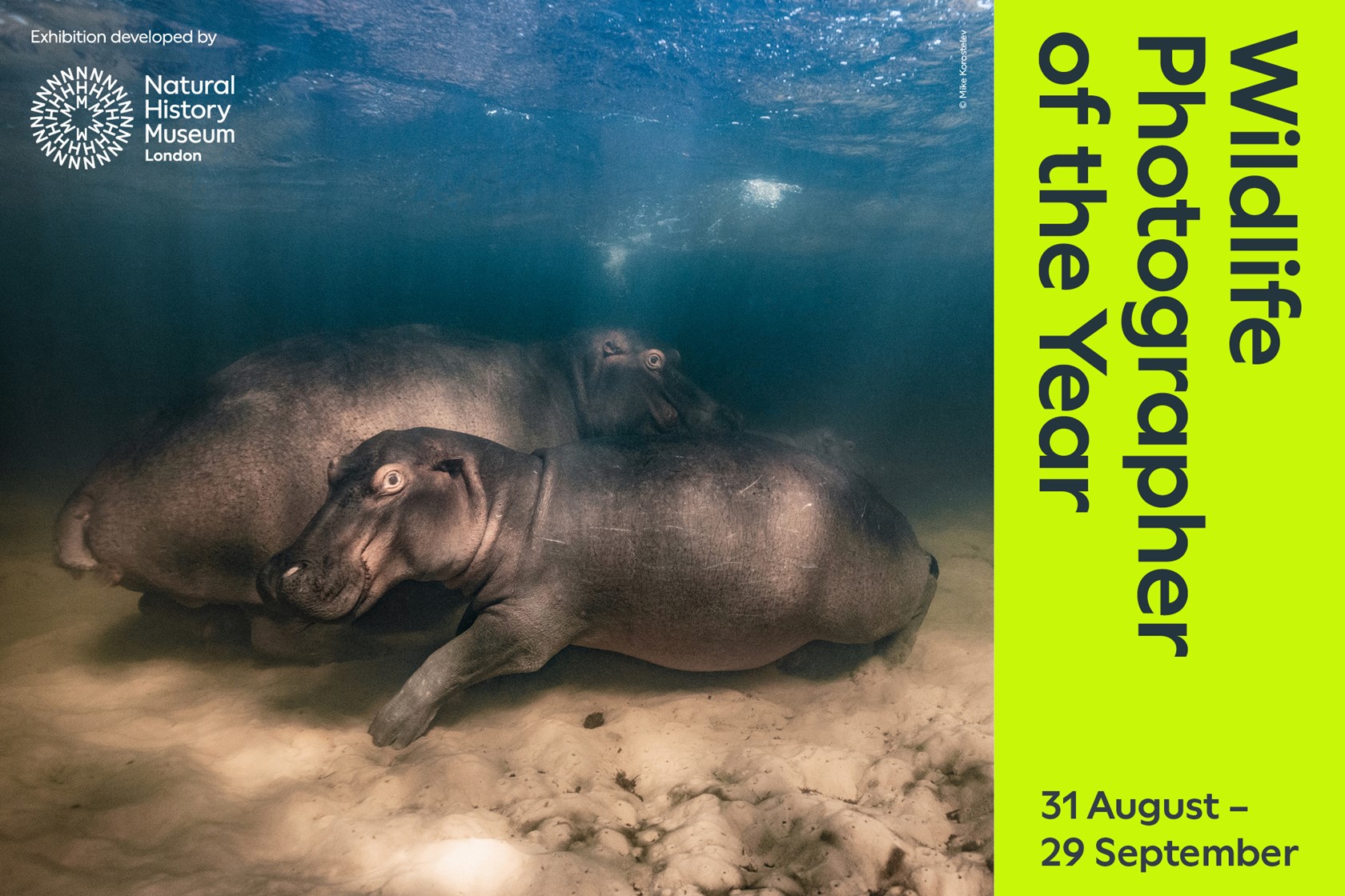 Option 2 Wildlife Photographer Of The Year 2024 Website Event Images 2000Px X 1333Px