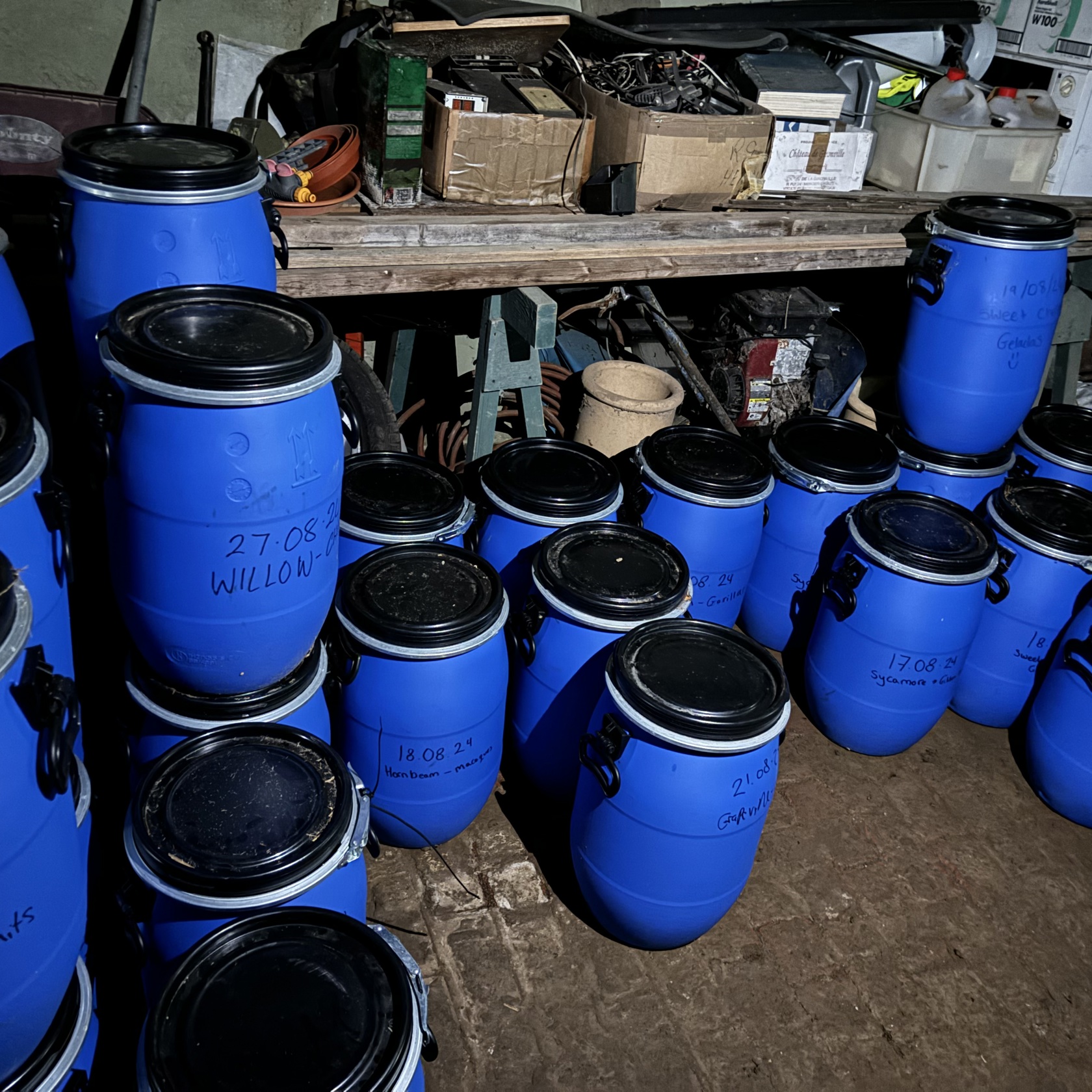 Browse Being Stored And Fermented In Barrels