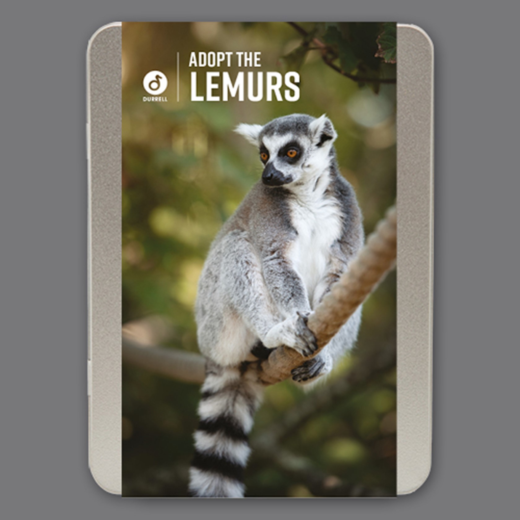 Adoption Tin Ring Tailed Lemur