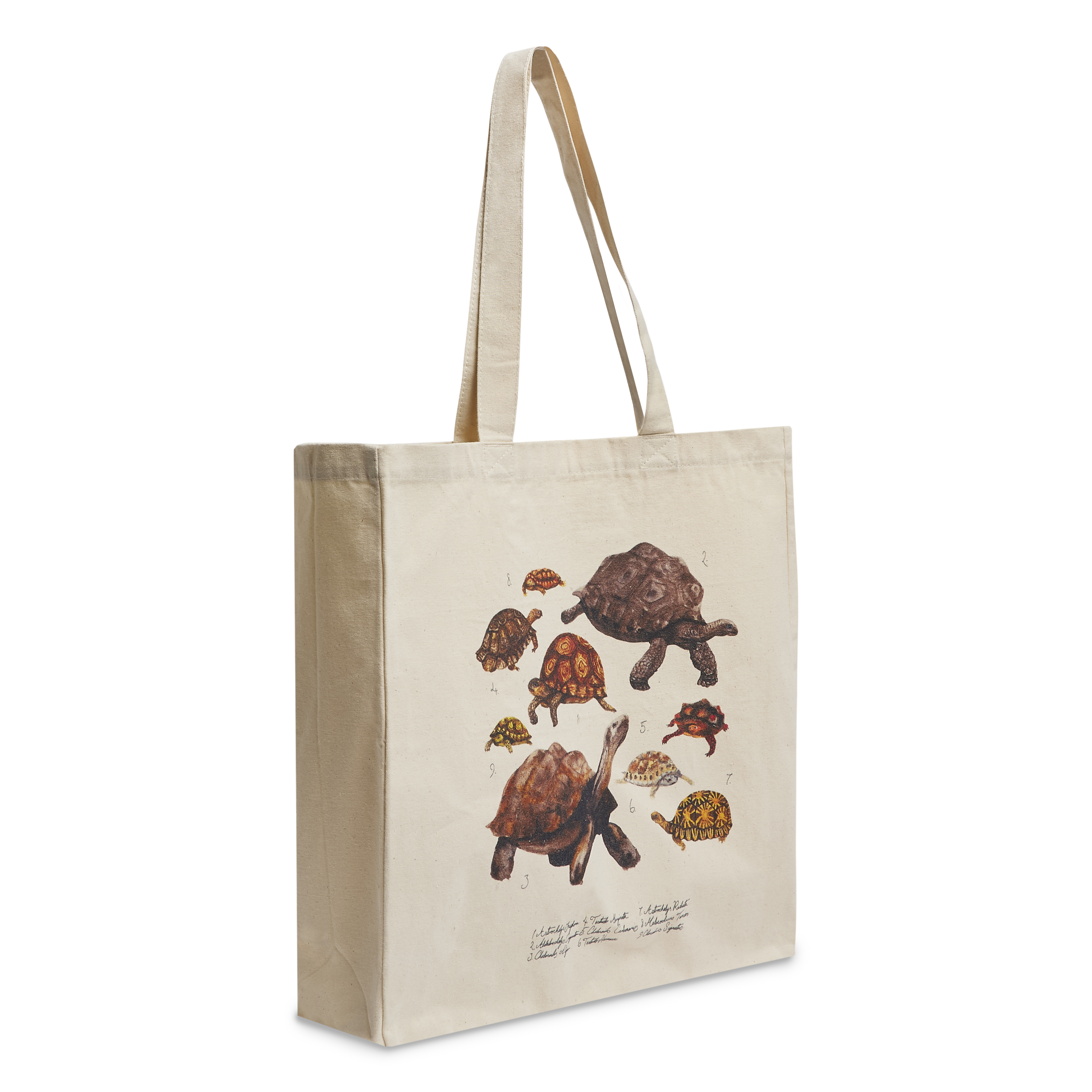Unisex Street Backpack Turtle Package Travelling PULeather Tortoise Bag  42x32x15 | eBay