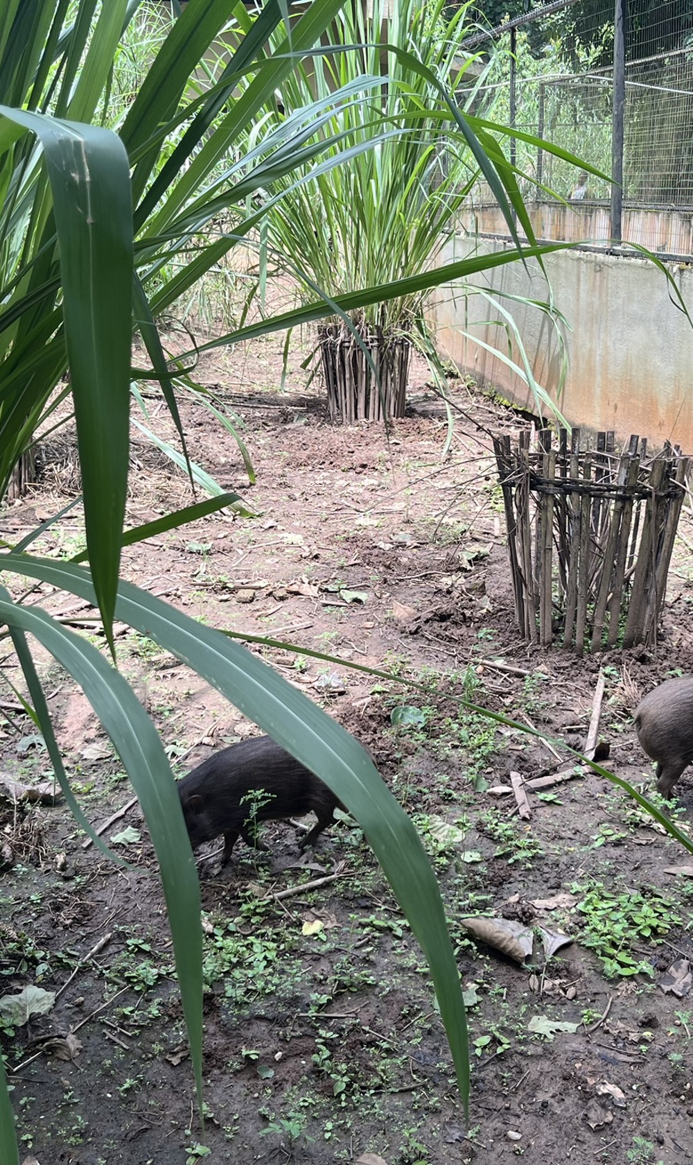 PHCP Visit Credit Allan Muir 3