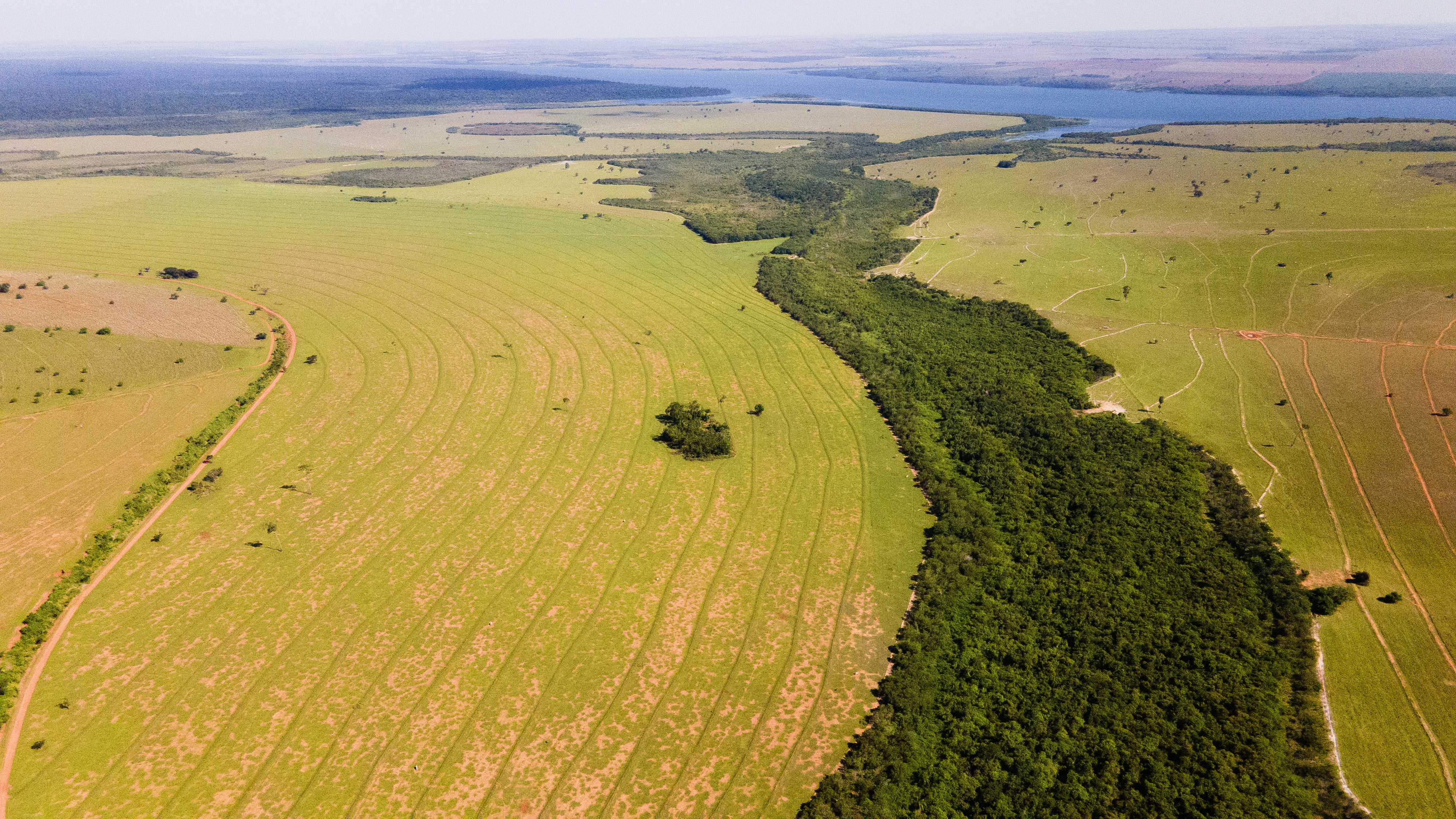 CREDIT IPE Forest Corridors