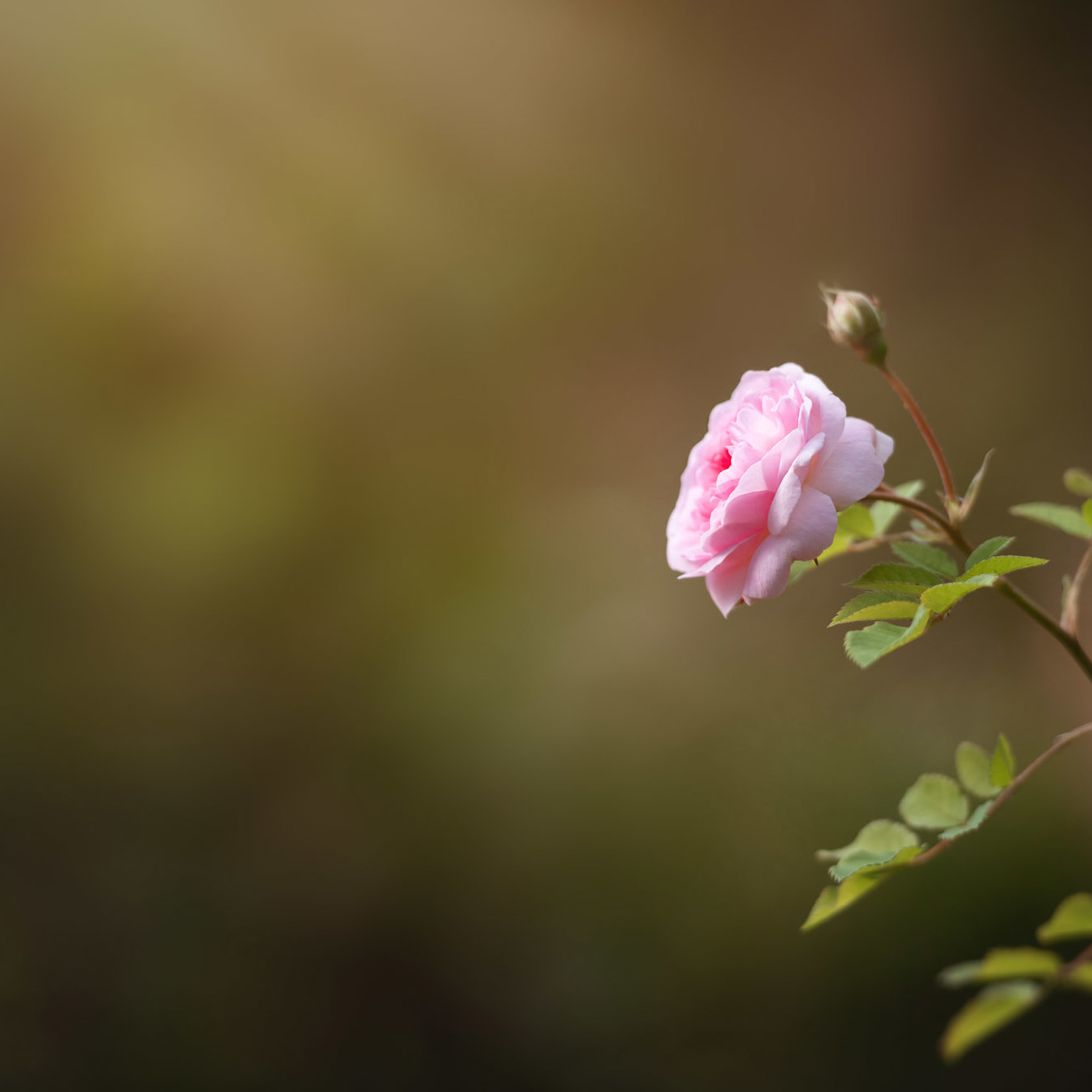 Zoo Flora 2021 25